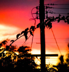 CROWS sunset