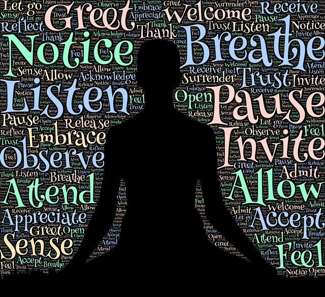 Person meditating (silhouette) with words surrounding: breathe, pause, wake, listen