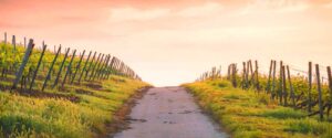 Three Mindfulness Lessons From The Wilderness