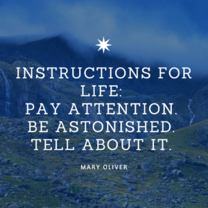Gratitude Is A Practice