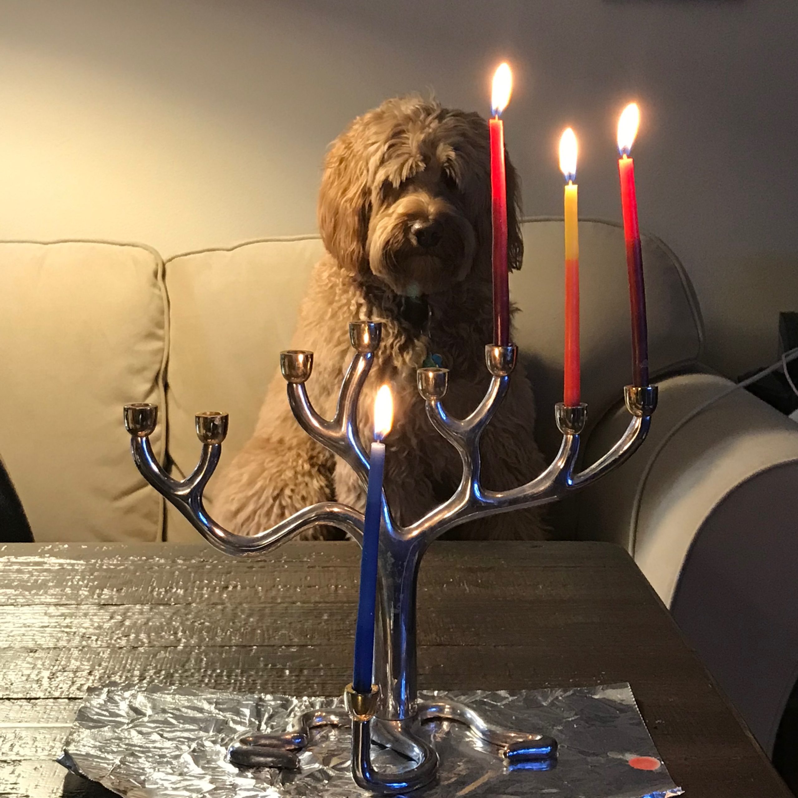 menorah with 3 lights plus shamash. Labradoodle behind on the couch