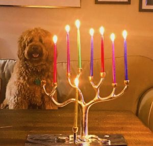 Bo the golden doodle sits on the couch behind a menorah with 7 lit candles.