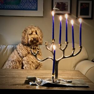 photo of 5 lit candles on the menorah, dog in background