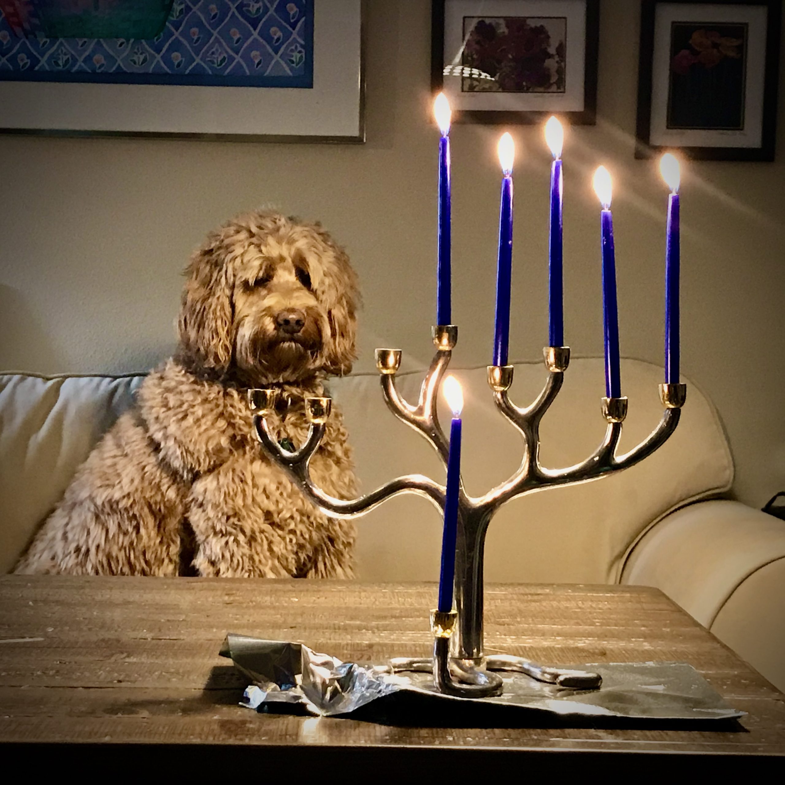 photo of 5 lit candles on the menorah, dog in background