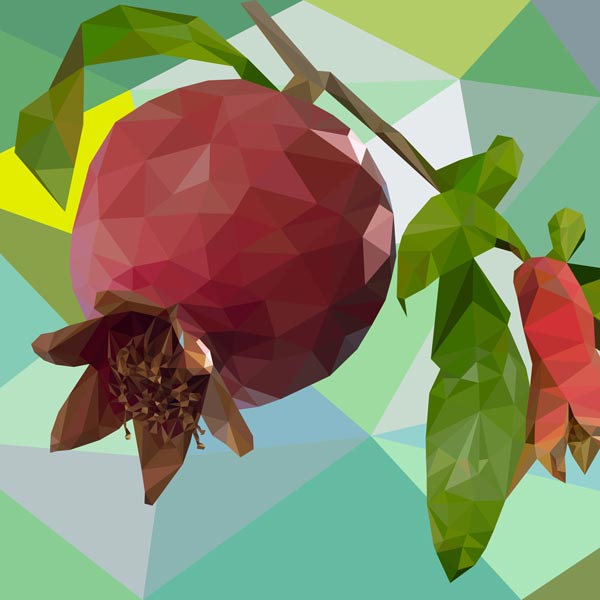 pomegranate_dp53713531-600