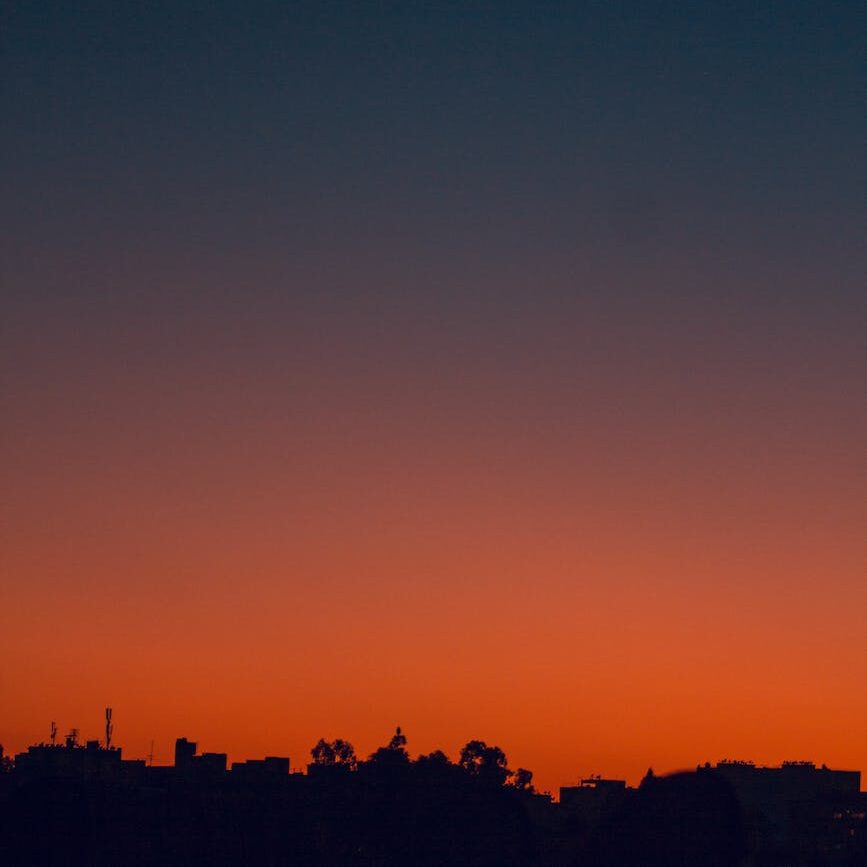 silhouette of trees during sunset