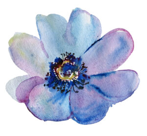 beautiful flower blooming watercolor